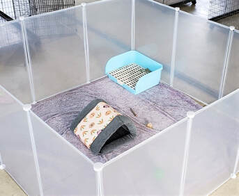 Clear Playpen for Rabbits