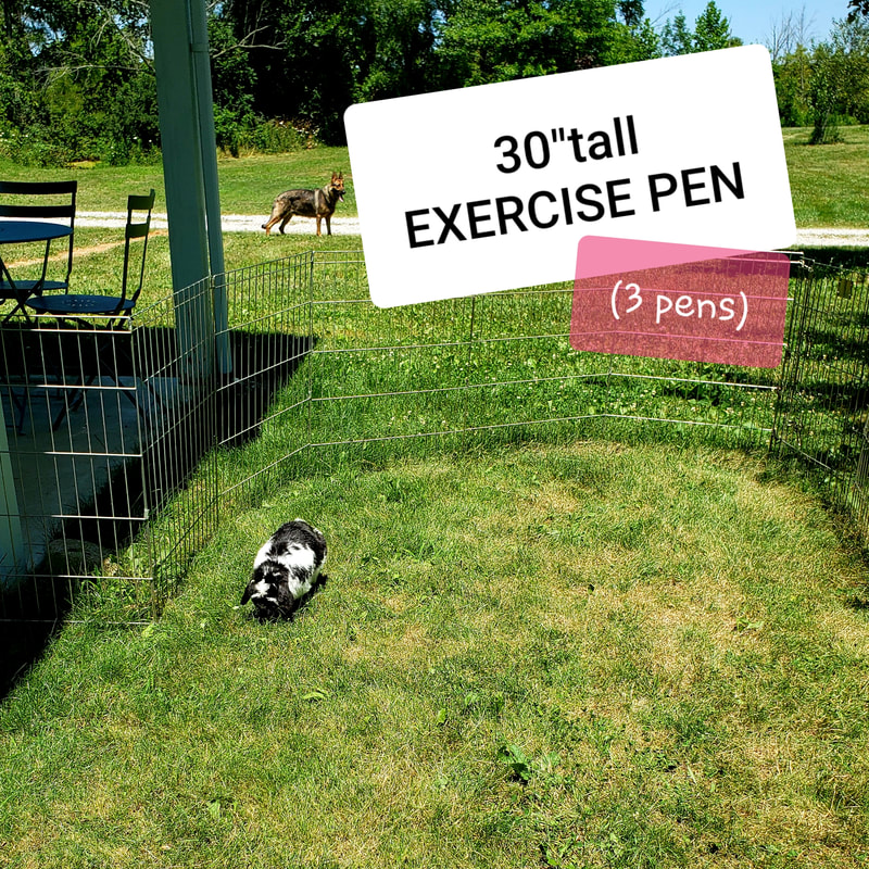 Rabbit Exercise Pen