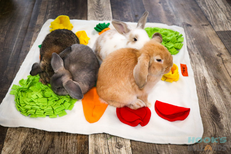 Bunny Blanket with Vegetables by Tokihut
