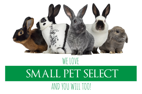 Hay for Rabbits - Small Pet Select